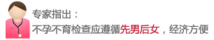 专家提示